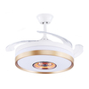 Termoventilatore da soffitto a basso rumore da 48 pollici con luce